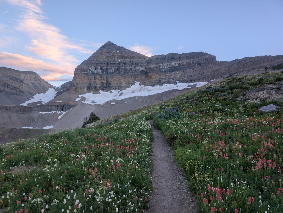 Hiking the Timpooneke Trail to Timpanogos: Everything You Need To Know