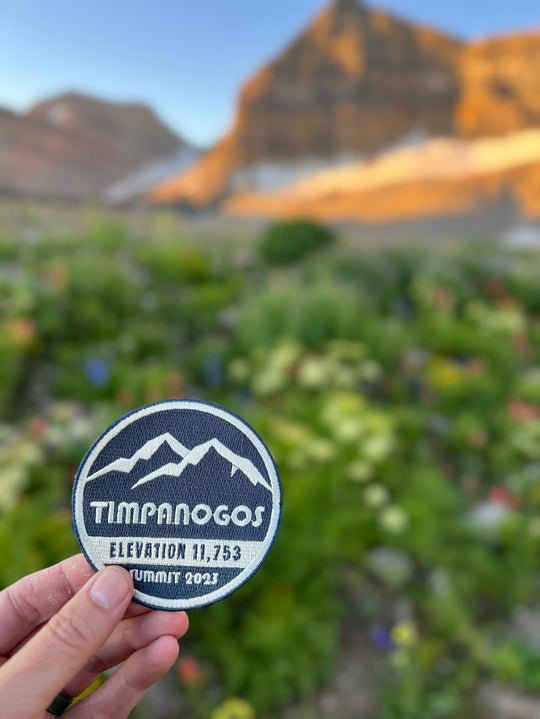 Timp Badge (2023)