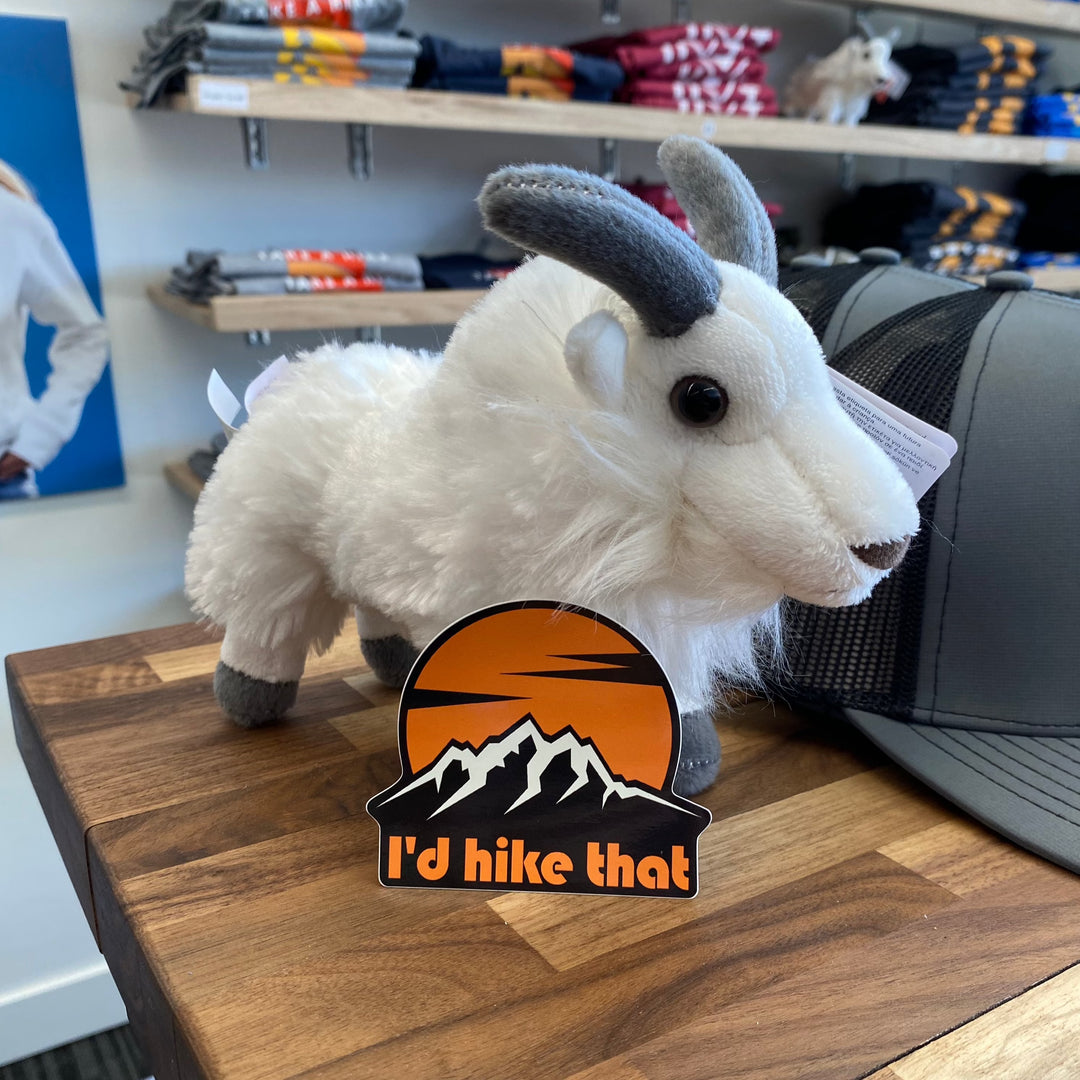 I'd Hike That - Custom Die Cut Sticker (4 x 4)